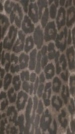 Vox Jacket - Leopard Print