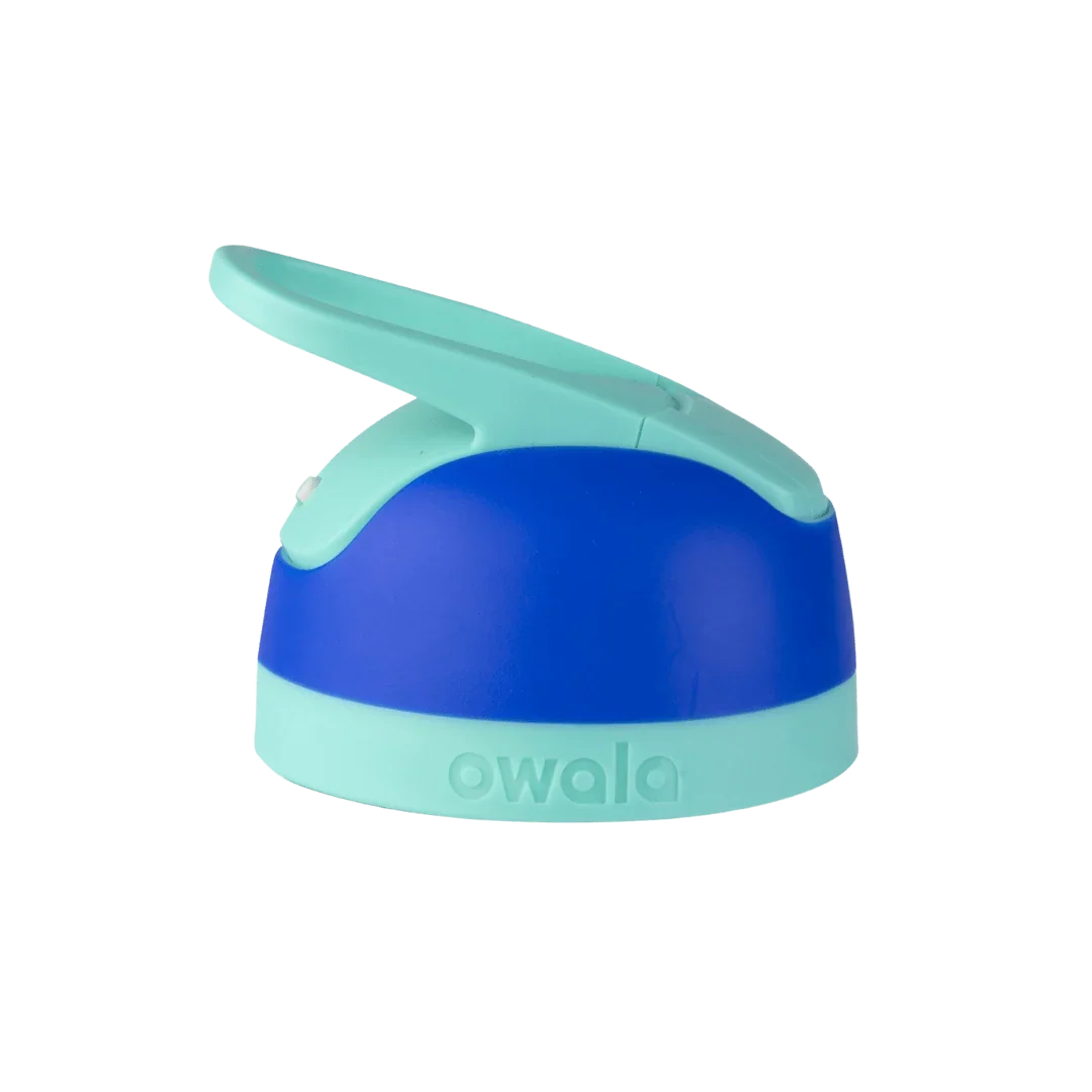 Replacement Lids