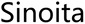 Sinoita